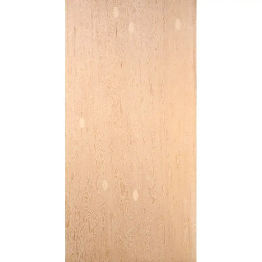 Good One Side Sanded Fir Plywood 4' x 8'