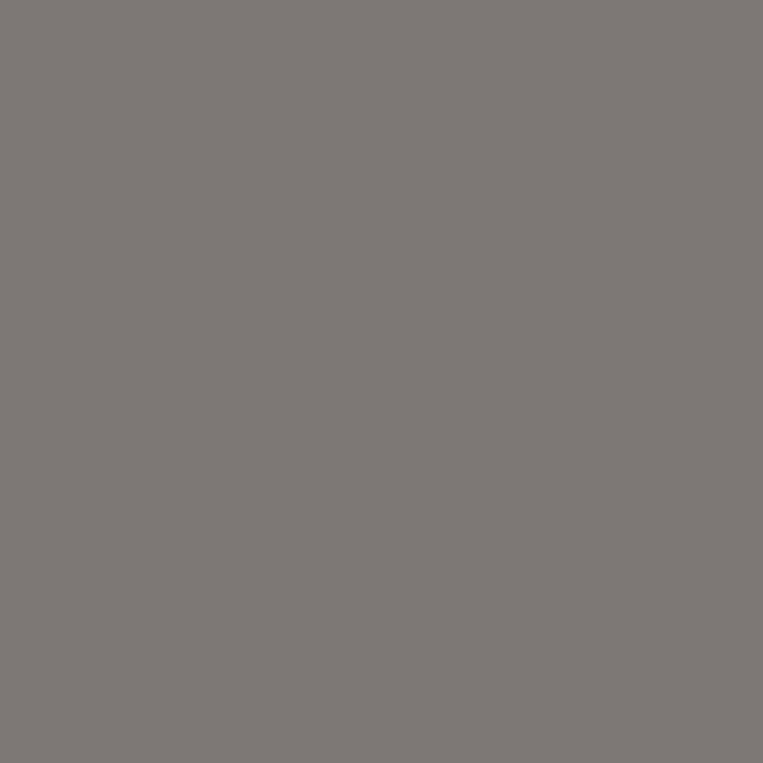 Aged Pewter ColorPlus Technology colour swatch