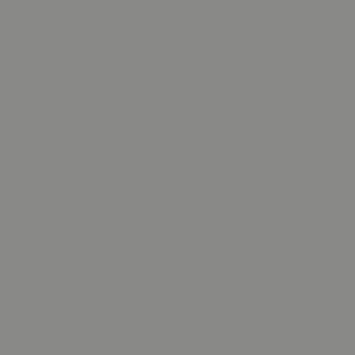Gray Slate ColorPlus Technology colour swatch